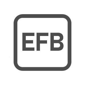 EFB Batterien