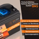 Exakt LiFePO4 Batterie 230Ah 12V Lithium Batterie