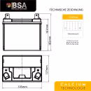 BSA Professional Rasentraktor Starterbatterie 32Ah 12V Maße