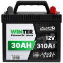 WINTER Premium Rasentraktor Batterie 30Ah 12V